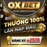 5+ khuyến mãi Oxbet nên lấy khi tham gia cá cược