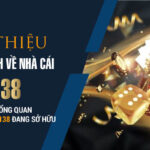 Nhà cái Vn138 uy tín