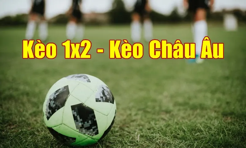 Cách đọc kèo Châu Âu 1*2 dễ hiểu nhất 