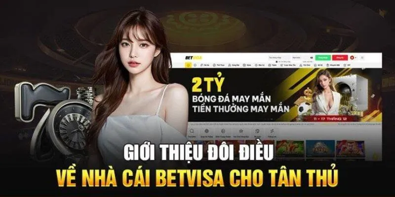 Điều khoản và điều kiện Betvisa