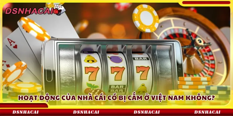 Hoạt động của nhà cái có bị cấm ở Việt Nam không?